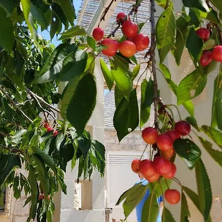 Trulli Di Zia Tata Kır Evi