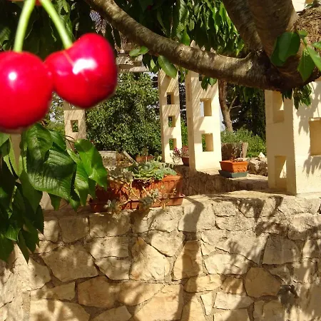 Landhuis Trulli Di Zia Tata Locorotondo